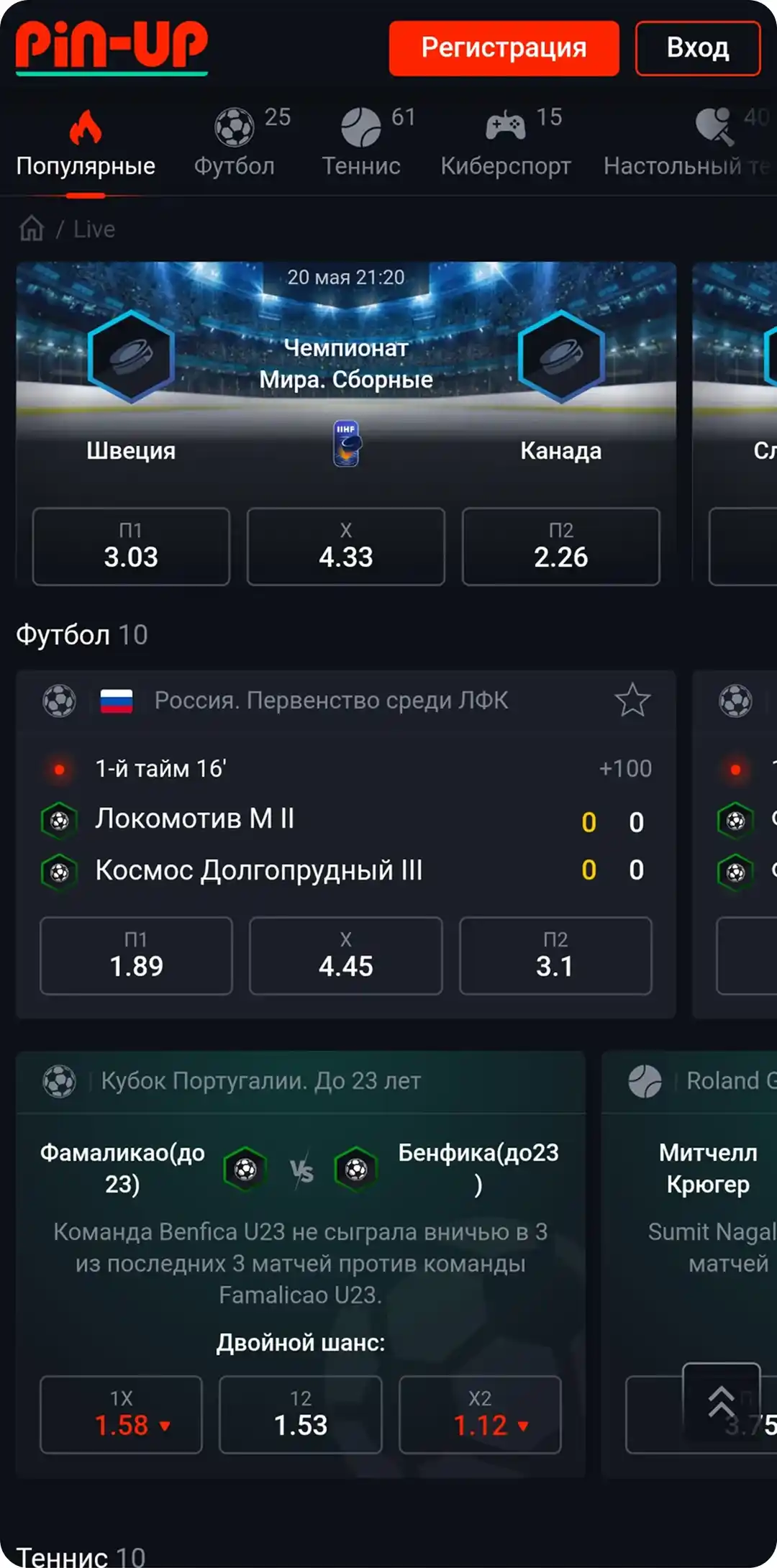 Ставки на спорт Pin up bet